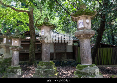 Lanterne in Kasuga Wakamiya Santuario, Parco di Nara, Giappone Foto Stock