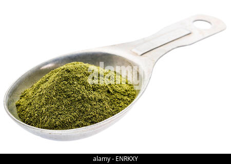 Green liofilizzata organic erba di frumento polvere, supplemento nutrizionale, isolato su un cucchiaio di misurazione Foto Stock