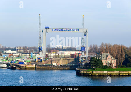 Damen nave cantiere di riparazione, porto di Rotterdam, Paesi Bassi Foto Stock