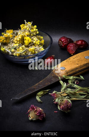 Le bacche sono essiccati rosa canina e erbe su sfondo nero.Il fuoco selettivo Foto Stock