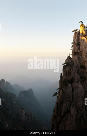 La nebbia, gola profonda, bizzarre rocce torreggianti e montagne coperte di alberi sparsi, Huangshan pini (Pinus hwangshanensis) Foto Stock