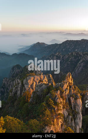 Atmosfera mattutina, nebbia, bizzarre rocce torreggianti e montagne coperte di alberi sparsi, Huangshan pini (Pinus Foto Stock