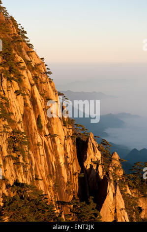 Atmosfera mattutina, nebbia, bizzarre rocce torreggianti e montagne coperte di alberi sparsi, Huangshan pini (Pinus Foto Stock