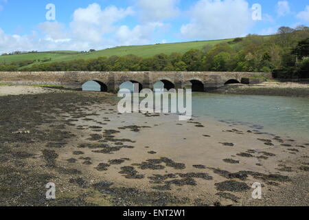 Newbridge Quay, Salcombe-Kingsbridge estuario, Sud prosciutti, Devon, Inghilterra, Regno Unito Foto Stock