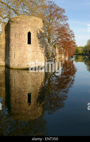 Le pareti del Palazzo Vescovile che si riflettono nei suoi dintorni simili a specchio fossato a Wells, Somerset. Foto Stock