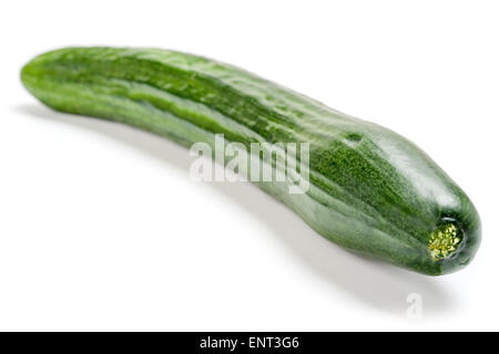 Cetriolo lungo verde, su uno sfondo bianco, isolato Foto Stock