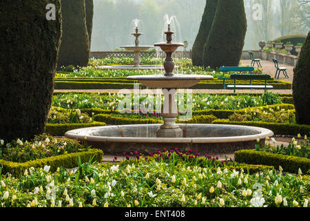 I tulipani sulla terrazza della struttura Bowood House nel Wiltshire. Foto Stock