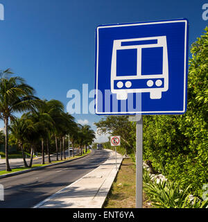 American road bus pubblico stop sulla strada dei caraibi road Foto Stock