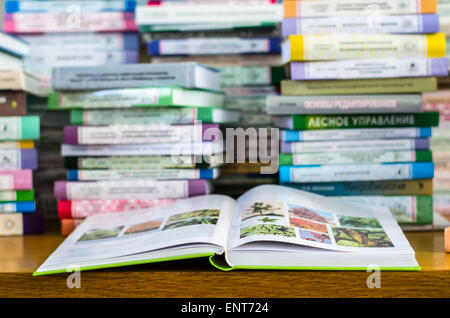 Una ragazza sono trasportano informazioni sulle pile di libri e chiedendo circa i buoni contrassegni Foto Stock
