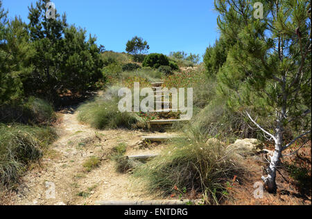 Arrampicata Marfa Ridge, a nord di Malta, Mediterranea Foto Stock