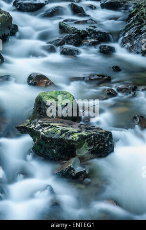 Acqua che scorre giù Polmaddy Burn, Dumfries e Galloway, Regno Unito Foto Stock