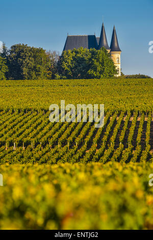 Il castello nel vigneto di Bordeaux Sunrise-Medoc-FRANCIA Foto Stock