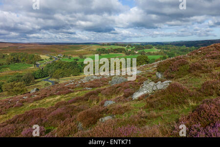 North York Moors National Park in una luminosa giornata autunnale con erica in fiore e visualizzare attraverso il paesaggio di laminazione. Foto Stock