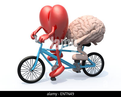 Cervello umano e il cuore con le braccia e le gambe di equitazione biciclette tandem, 3d illustrazione Foto Stock