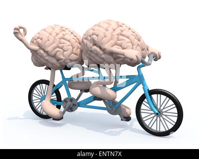 Due cervelli umani con le braccia e le gambe di equitazione biciclette tandem, 3d illustrazione Foto Stock