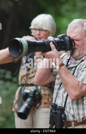 Eco-turistico fotografi. Eco turisti utilizzando telecamere per la registrazione di avvistamento di uccelli e di altri animali selvatici. Il Ghana. Africa occidentale. Foto Stock