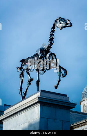 Cavallo regalo da artista Hans Haacke sul quarto plinto, Trafalgar Square, Londra, Regno Unito. Foto Stock