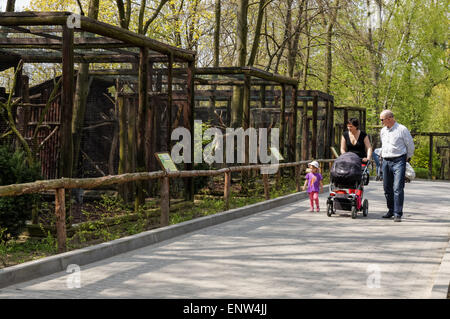 Per i visitatori in cerca di uccelli in gabbie, Plock Zoo Polonia Foto Stock