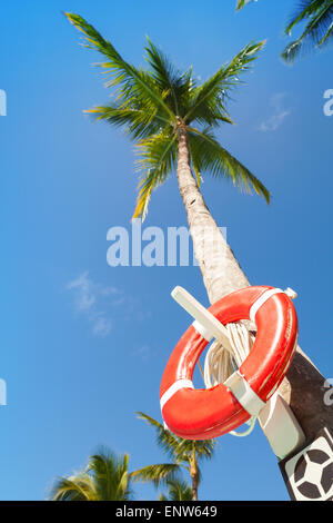 Red round boa vita appesa al alta palma, sulla spiaggia nella Repubblica Dominicana Foto Stock