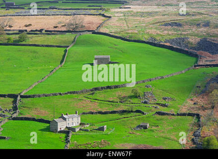 Agriturismo in Arkengarthdale, Yorkshire Dales National Park, North Yorkshire, Inghilterra, Regno Unito Foto Stock