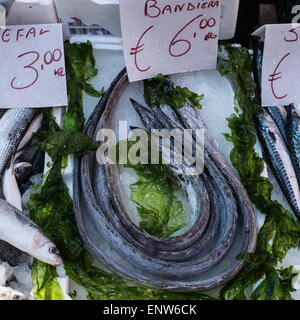 Lepidopus caudatus, pesce bandiera in italiano, al mercato del pesce,Napoli Foto Stock