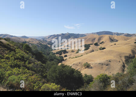 Dolci colline al di fuori di Morro Bay, California. Foto Stock