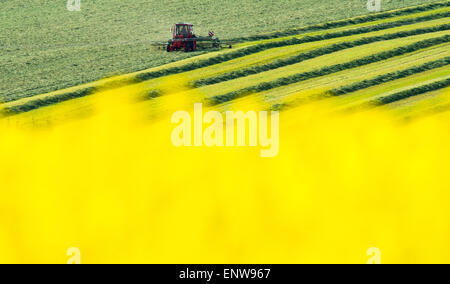 Un file immagine datata 11 maggio 2015 mostra un trattore ruotando di erba fresca vicino Grimma, Germania. Foto: LUKAS SCHULZE/dpa Foto Stock