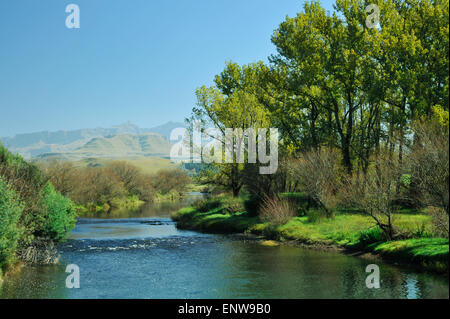 Underberg, KwaZulu-Natal, in Sudafrica, la vista delle montagne Drakensberg dalle rive del fiume mZimkulu, paesaggio, fiumi Foto Stock