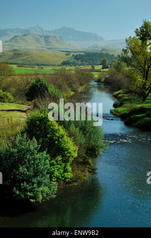 Vista del Drakensberg guardando verso il punto di riferimento Hodgson le vette oltre il fiume mZimkulu vicino Underberg in Sud Africa Foto Stock