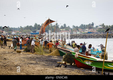 Sulla spiaggia - Negombo, Sri Lanka Foto Stock