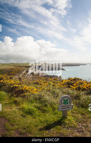 punta di Porthclais vicino a St Davids al Pembrokeshire Coast National Park, Galles UK nel mese di maggio Foto Stock