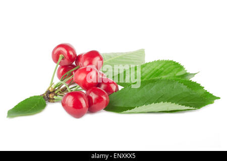 Fresche ciliege mature su uno sfondo bianco isolato Foto Stock