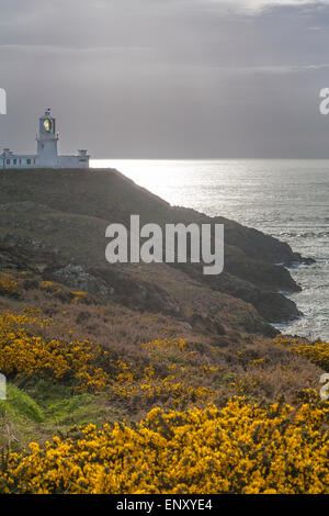 Faro Strumble Head al Pembrokeshire Coast National Park, Galles, Regno Unito a maggio Foto Stock