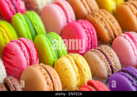 Tradizionale Francese macaron colorati in una scatola Foto Stock