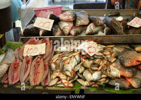 Pesce fresco steso su una fase di stallo in un cibo tailandese mercato, Bangkok, Thailandia Foto Stock