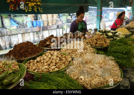 Vari tipi di locali di funghi commestibili e funghi su un cibo in stallo a Bangkok mercato alimentare, Thailandia, Febbraio Foto Stock