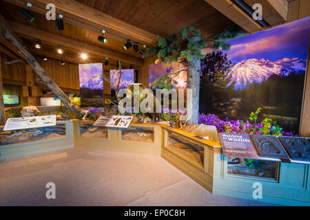 La fauna selvatica visualizza a Jackson Hole Visitor Center, Jackson Hole, Wyoming USA Foto Stock