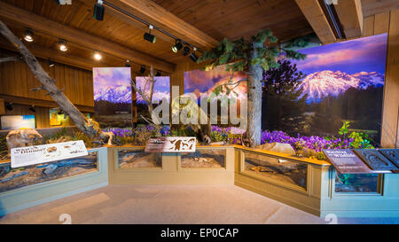 La fauna selvatica visualizza a Jackson Hole Visitor Center, Jackson Hole, Wyoming USA Foto Stock