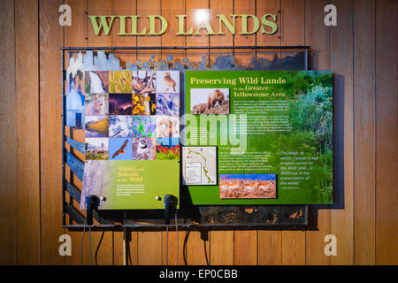 La fauna selvatica visualizza a Jackson Hole Visitor Center, Jackson Hole, Wyoming USA Foto Stock