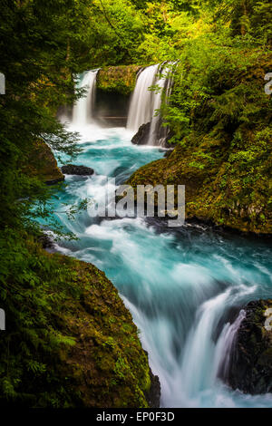 Vista di spirito cade sulla Little White Salmon River in Columbia River Gorge, Washington. Foto Stock