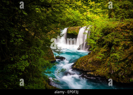 Vista di spirito cade sulla Little White Salmon River in Columbia River Gorge, Washington. Foto Stock