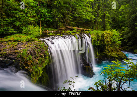 Vista di spirito cade sulla Little White Salmon River in Columbia River Gorge, Washington. Foto Stock