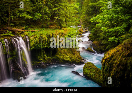 Vista di spirito cade sulla Little White Salmon River in Columbia River Gorge, Washington. Foto Stock