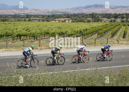 Livermore, California, Stati Uniti d'America. Il 12 maggio 2015. Martedì, 12 Maggio 2015.un gruppo di quattro piloti in Amgen tour della California passano attraverso il vigneto paese lungo Vallecitos Rd in Livermore, California, durante la terza tappa. Il giorno comincia e termina in San Jose e include 4,216 piedi di Mt. Hamilton. Credito: Tracy Barbutes/ZUMA filo/Alamy Live News Foto Stock