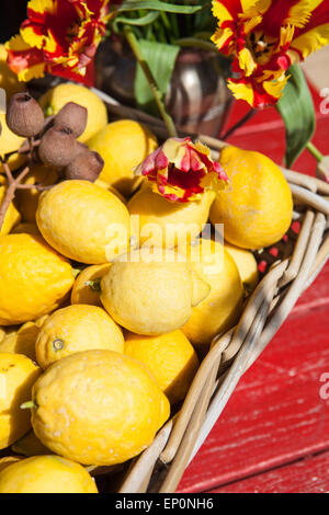 Ancora la vita di limoni e fiori Foto Stock