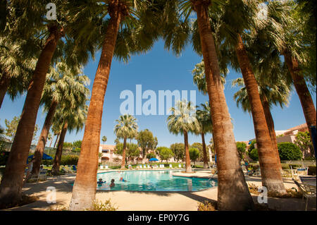 Piscina circondata da palme in Palm Springs, California Foto Stock