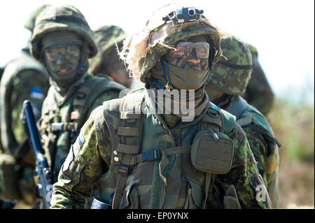 (150512) -- TAPA (Estonia), 12 maggio 2015 (Xinhua) -- soldati estone di agire nella fase finale dell'esercitazione militare "mal' nella Tapa, Estonia, il 12 maggio 2015. I nove giorni trapano militare "mal' (estone per "riccio"), che ha coinvolto 13.000 soldati e gli alleati della NATO con base in Estonia, avvolto su Martedì. (Xinhua/Sergei Stepanov) Foto Stock