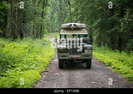 1966 Serie 2un Land Rover Safari carro nella contea di Garrett, Maryland, Stati Uniti d'America Foto Stock