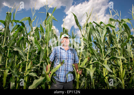 Earl Buddy Hance, Segretario di Agricoltura in piedi in un campo di mais in Repubblica porta, Maryland, Stati Uniti d'America Foto Stock