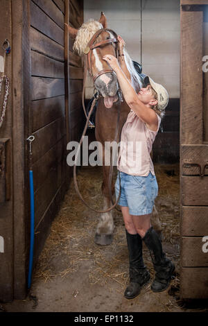 Donna cercando di mettere halter sul cavallo in Cecil County, Maryland, Stati Uniti d'America Foto Stock